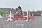 BPP_6536