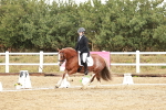 SBM_001329