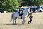 WJ6_7811