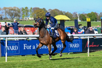 230426-Race 5-Naval Tribute-4910