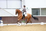 SBM_003804