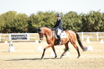 SBM_016994