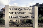 23rd Aug 2007