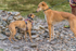 Fellside-467