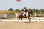 SBM_005623