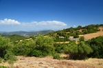 Los Alcornocales, Andalucia, Spain