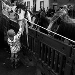 Appleby 024