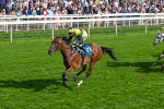 220825-Race 5-Cape Flora-7681