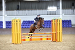 SBM_003141_Class 9 - Stepping Stones 128 138cm Handicap 75cm 85m