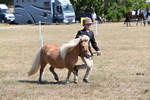 WJ6_8614