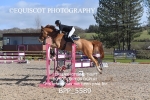 BPP_5589