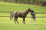 SBM_62378