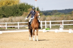 SBM_018340