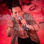 Pigsx7-23