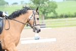 BPP_0206