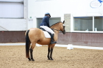 SBM_000374