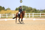 SBM_010448