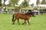 SBM_62808