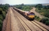 23rd July 2010