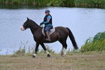 WJ7_6245