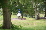 WJ6_0384