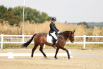SBM_002556