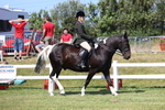 3E7A6867