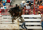 Reaching For the Buckle