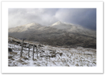 Dances with Snow ♦ LAWERS RANGE