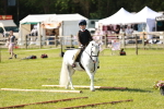 SBM_12677