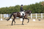 SBM_008523