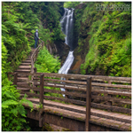 Across the Bridge, Glenariff Forest (IMG1065)