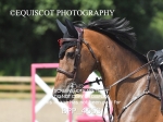 BPP_4653