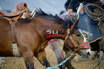 3HRodeo_PBR_All-Star_JUL_2026_0648