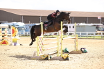 SBM_004361
