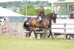 SBM_16239