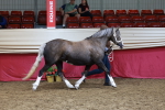 SBM_17394