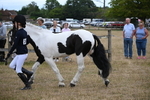 WJ6_8106
