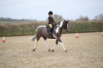SBM_007919