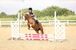 SBM_000651