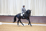 SBM_001038