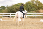 SBM_004667