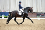 SBM_006587