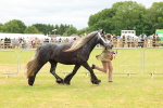 SBM_03566