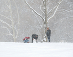 SNOWMAN NOVICES - CENTRAL PARK