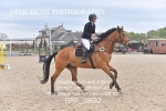 BPP_3890