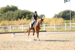 SBM_007501