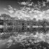 Late Winter Reflections