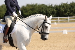 SBM_003453
