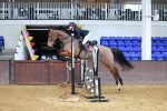 Class 2 - Senior British Novice - 90cm portfolio